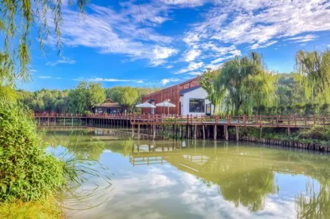 苏州网红拍照写真馆,苏州一宿三餐100元民宿