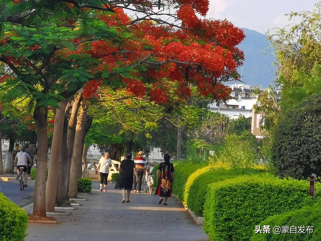 蒙自未来高楼地标,蒙自老街介绍