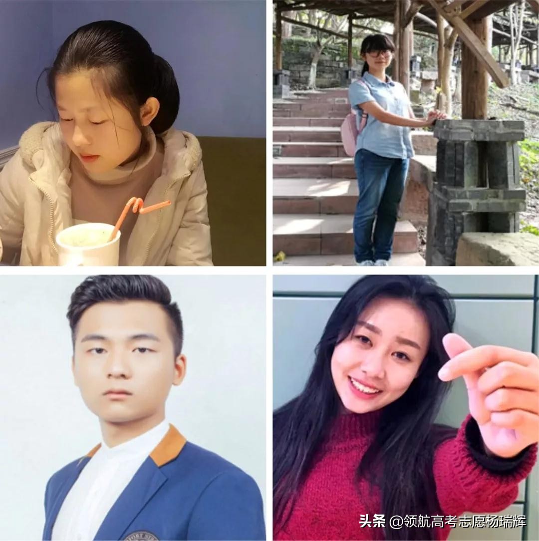 高考报志愿必备工具书有哪些,山东省新高考志愿填报必备工具书