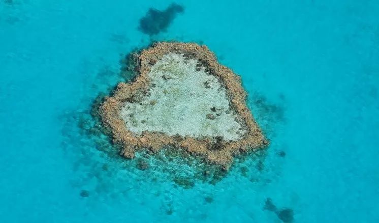 悉大爱约、新南渣？墨大的绿帽满街跑？