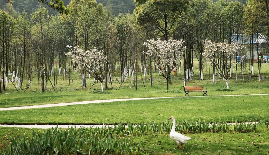 今年录取分数暴冷的三所大学,中国最扎心的211大学