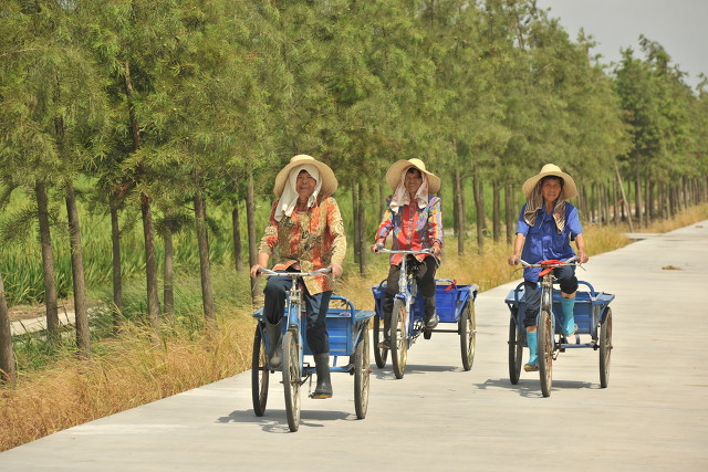 家乡的环境说明文,家乡的环境300字