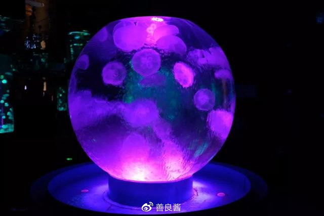 广州春节玩乐攻略,春节广州亲子游攻略