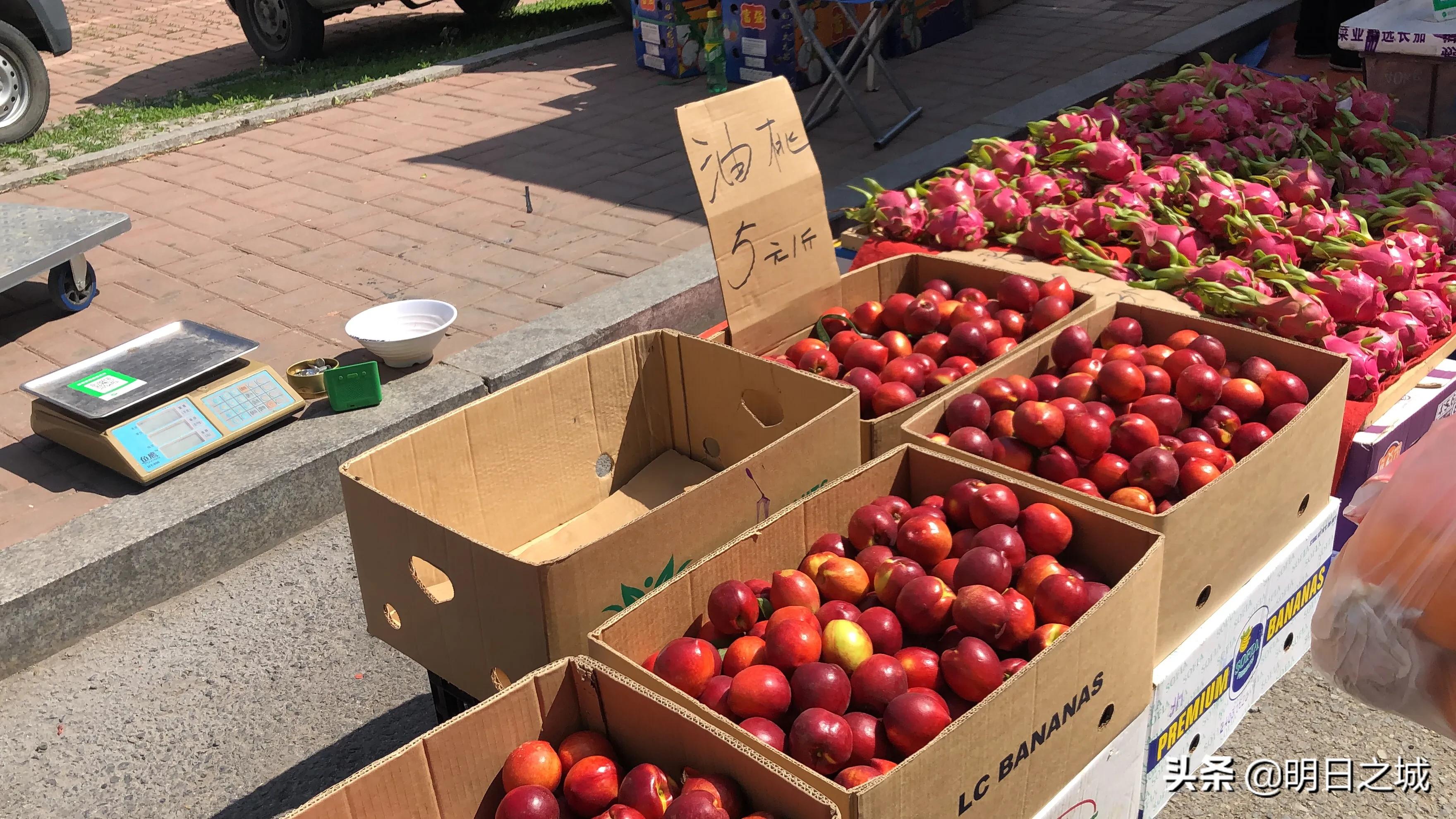 长春早市晚市大集大全2021,长春目前存在的早市