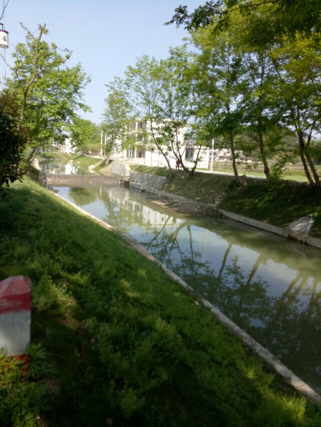 【民间传说,仪记公后裔通城丰衣南港胡姓屋场胡浩的神话故事】