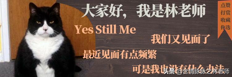 颜值在线，小巧能打，TOSHIBASlim移动硬盘使用体验