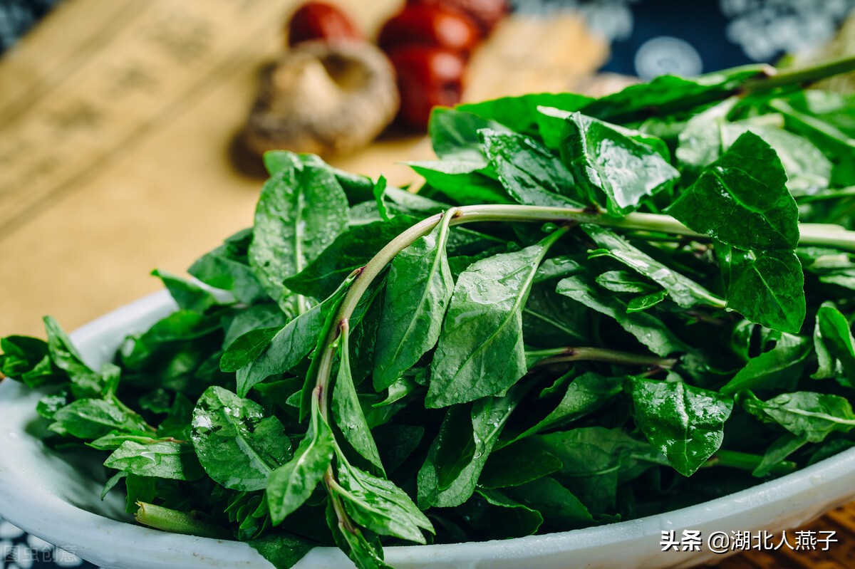 常见野菜的种类和图片大全 (各种野菜大全带图片)