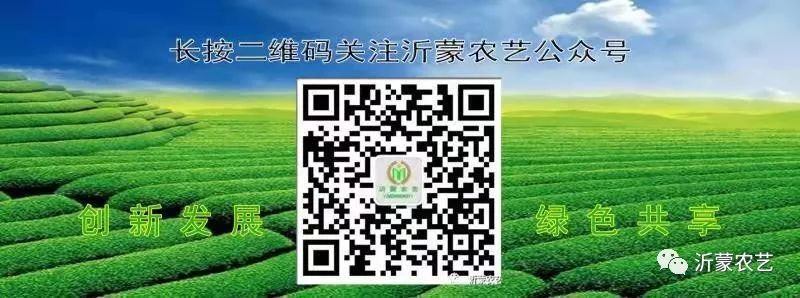 鉴赏茶叶礼盒,茶叶购买鉴赏指南