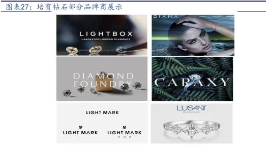 新一轮造富的风口,新风口新机遇