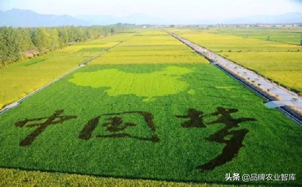 2022年中国生鲜电商行业,中国生鲜供应链市场研究报告