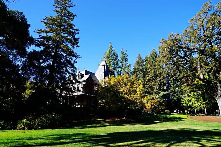 美国德州西部自由行,美国西海岸可以自由航行么