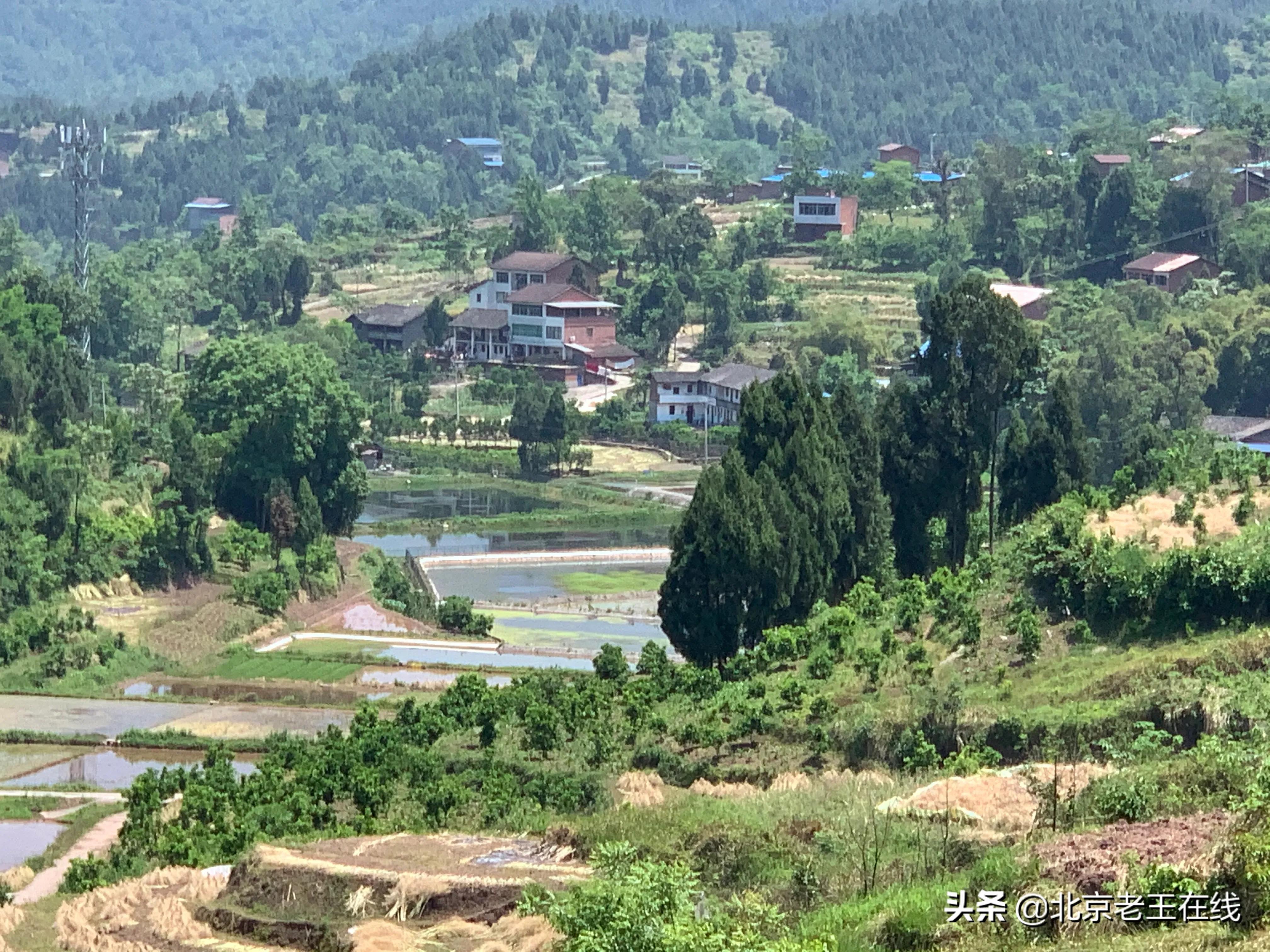 川渝之旅第三站,川渝之行感悟