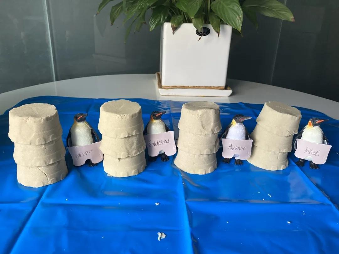 鍔ㄥ姏娌欐湁蹇呰涔板悧,娣辨墥濂界墿鎺ㄨ崘