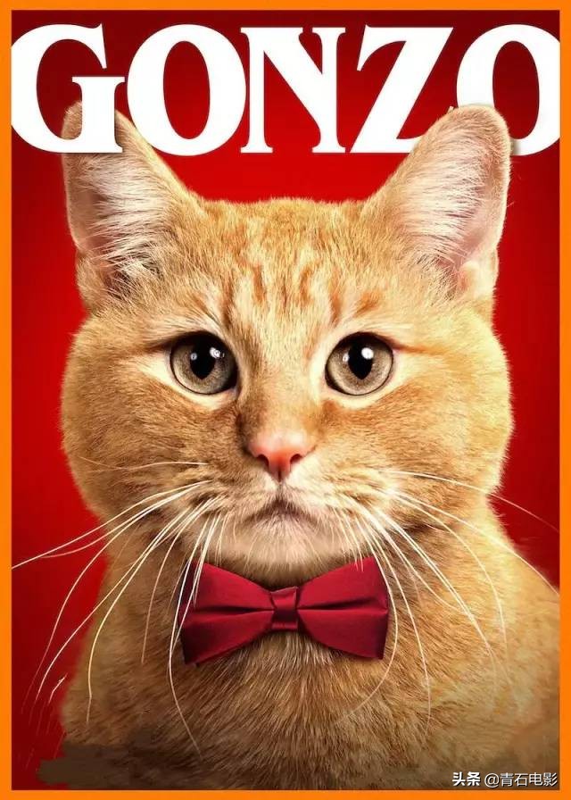 有一道光暖暖的洒下来歌词,一部让人心灵充满阳光的温情电影