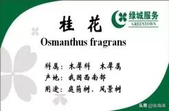 物业为业主提供暖心服务有哪些,物业温情服务标准