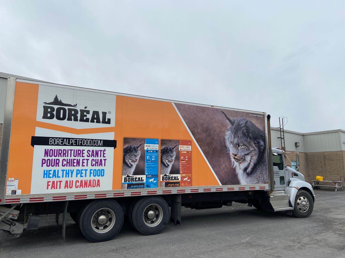 搜索美国好评和评论最多的猫粮