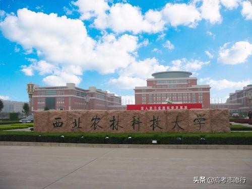 冷门的农林类大学，薪资待遇比不过热门行业，但就业还不错