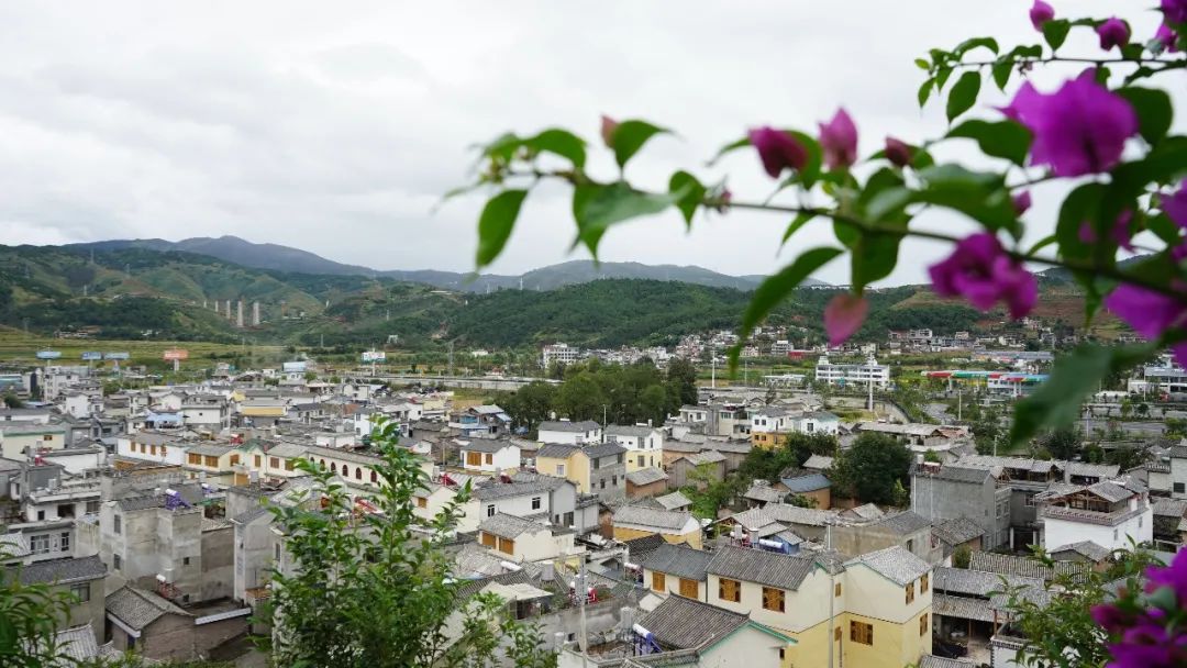 复旦大学116周年,复旦大学的生日