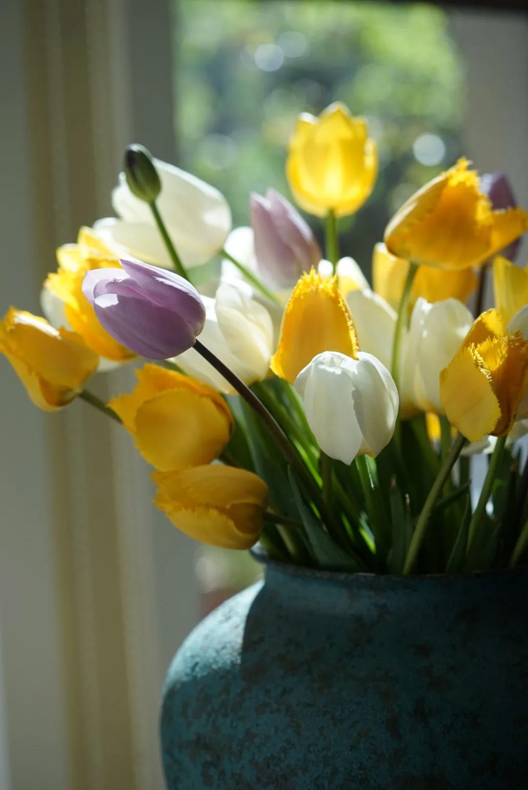 花期最长的院子，这家近海沙地的花园民宿，有故事有干货
