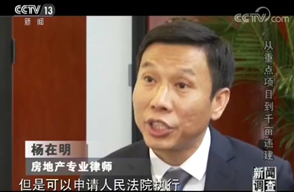 央视调查海南陵水挖芒果结果,央视调查海南陵水挖芒果