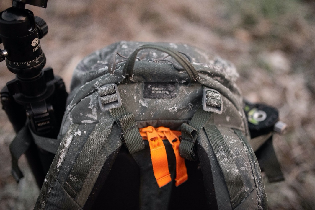 闪迪至尊高速tf256g评测,闪迪至尊高速移动microsdhc存储卡