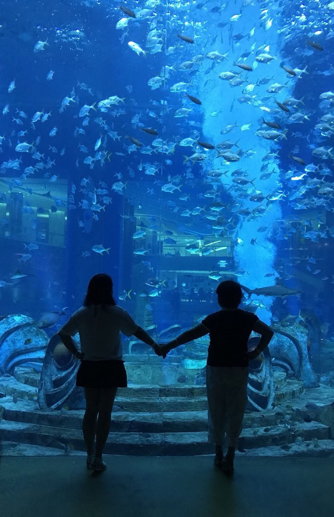 三亚自由行五天最佳攻略,三亚北纬十八度游攻略