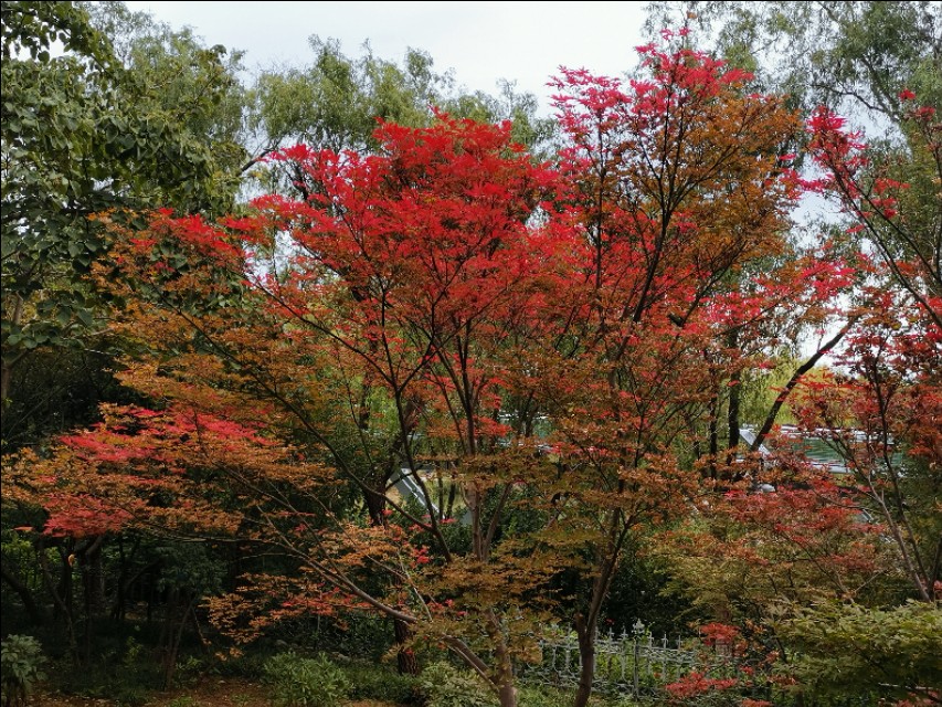 公众人物需要担负什么社会责任,公众人物需要担当更多的道德责任