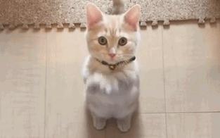 怎样才是真的氨基酸洗面奶,你选对氨基酸洗面奶了吗