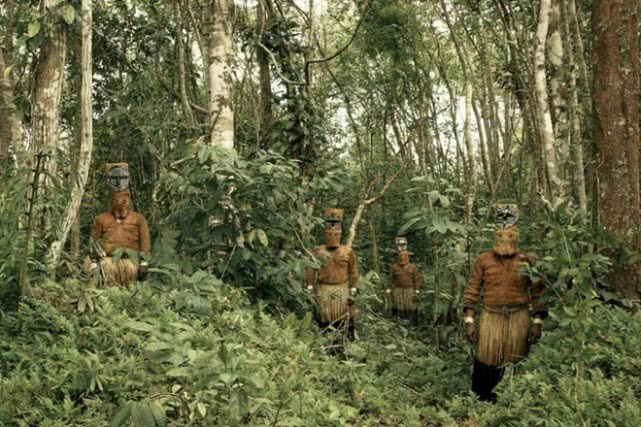 亚马逊丛林有哪些特点,亚马逊雨林有多恐怖颠覆你的三观