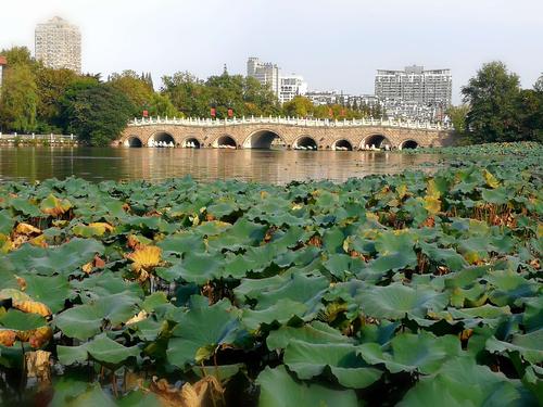 南通海安美食特产,南通特色美食学习