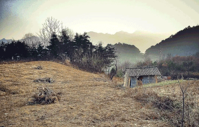 94万人点赞的辞职，被马云6字怒怼：别让任性，毁了你的下半生