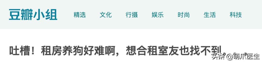 懒人养的猫很粘人吗,猫养得越久越粘人