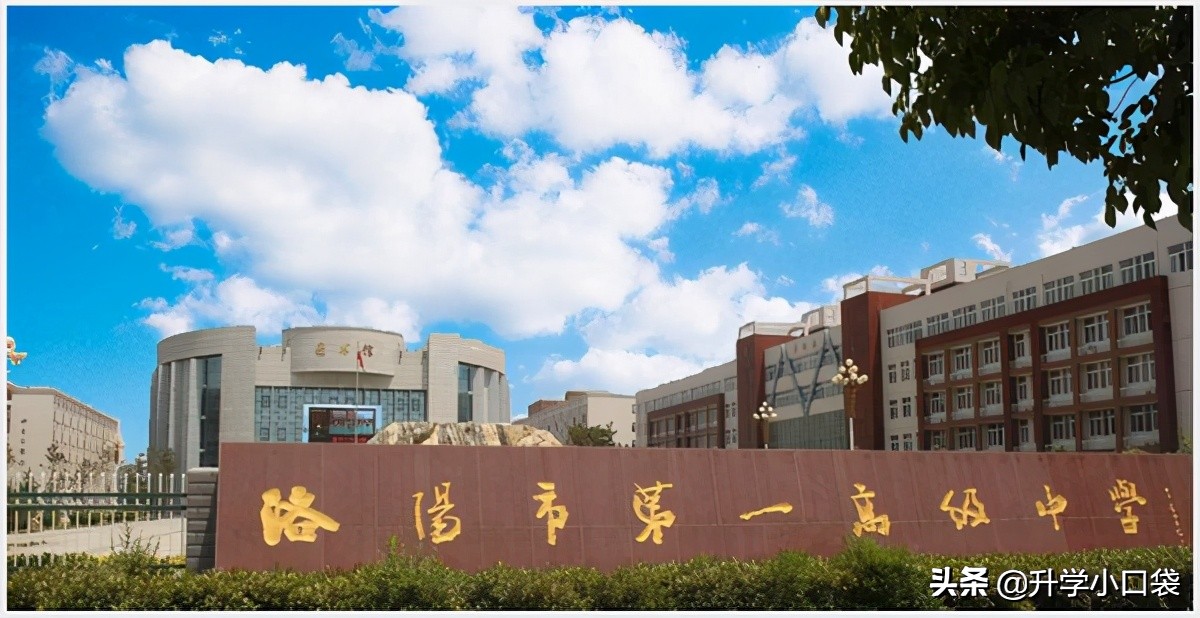 第38届全国中学生数学竞赛排名,河南高中数学联赛一等奖人数