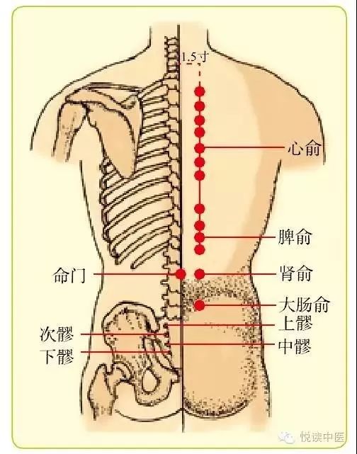 男言之隐介绍,男言之隐小说后续