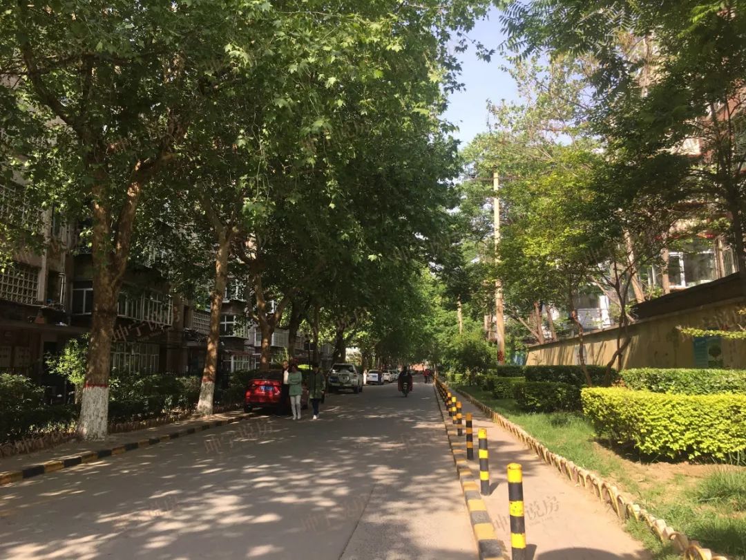 实探学区房,实探一线学区房