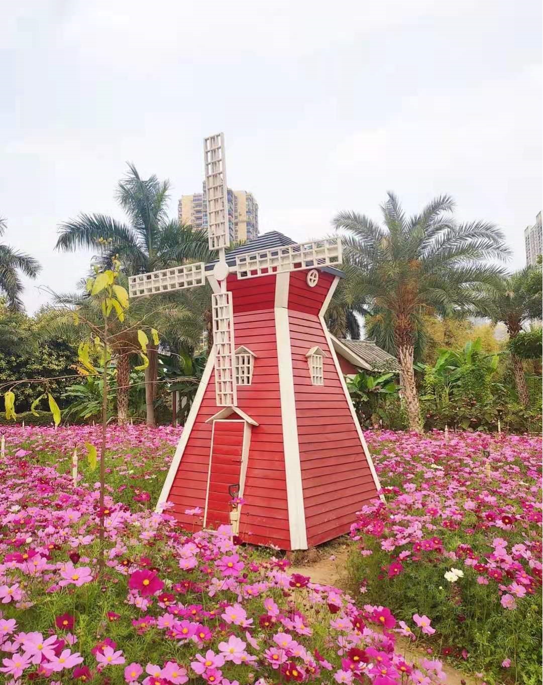 广西省南宁市适合居住养老吗,广西南宁哪个县最适合养老