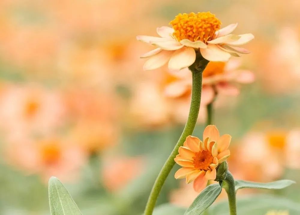 武汉初高中老师收入,武汉教师收入