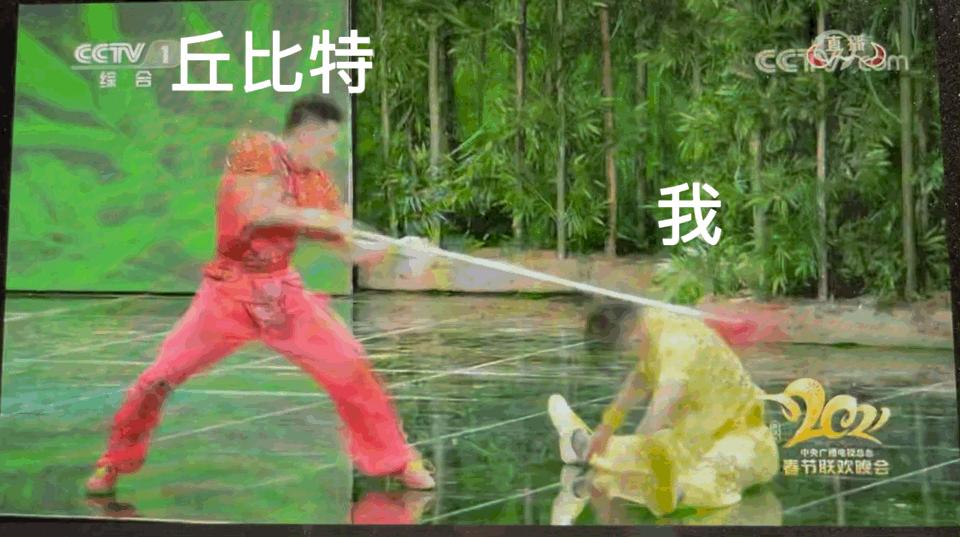 贾玲历年春晚回顾,贾玲春晚表情包动图