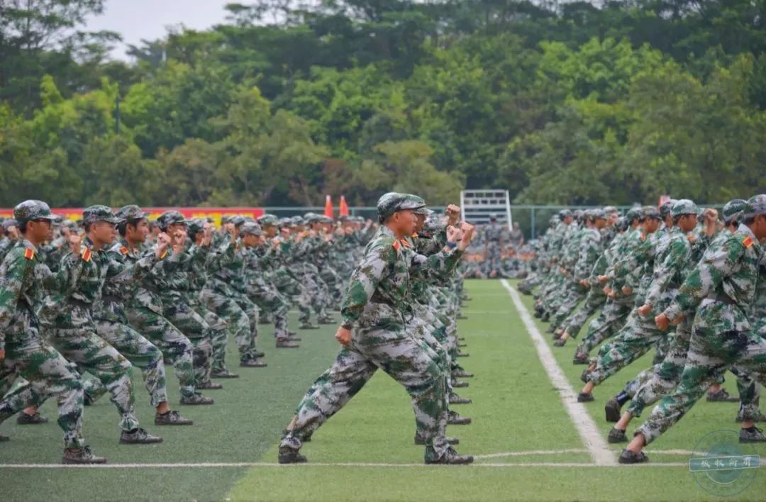 高职可以报考东莞职业技术学院吗,东莞职业技术学院专科学校