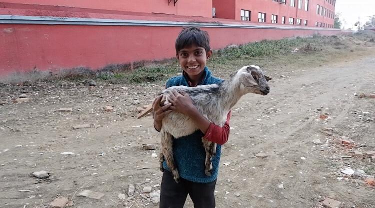 坐公交出国,坐公交可以环游中国么