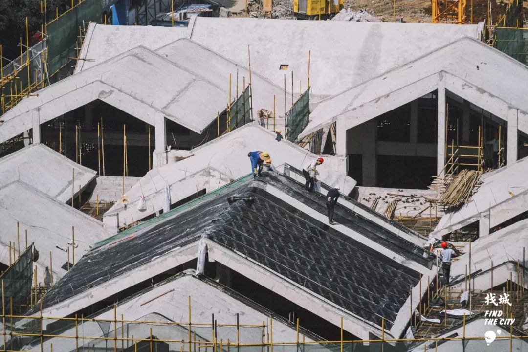 老南宁的三街两巷,老南宁的回忆照片