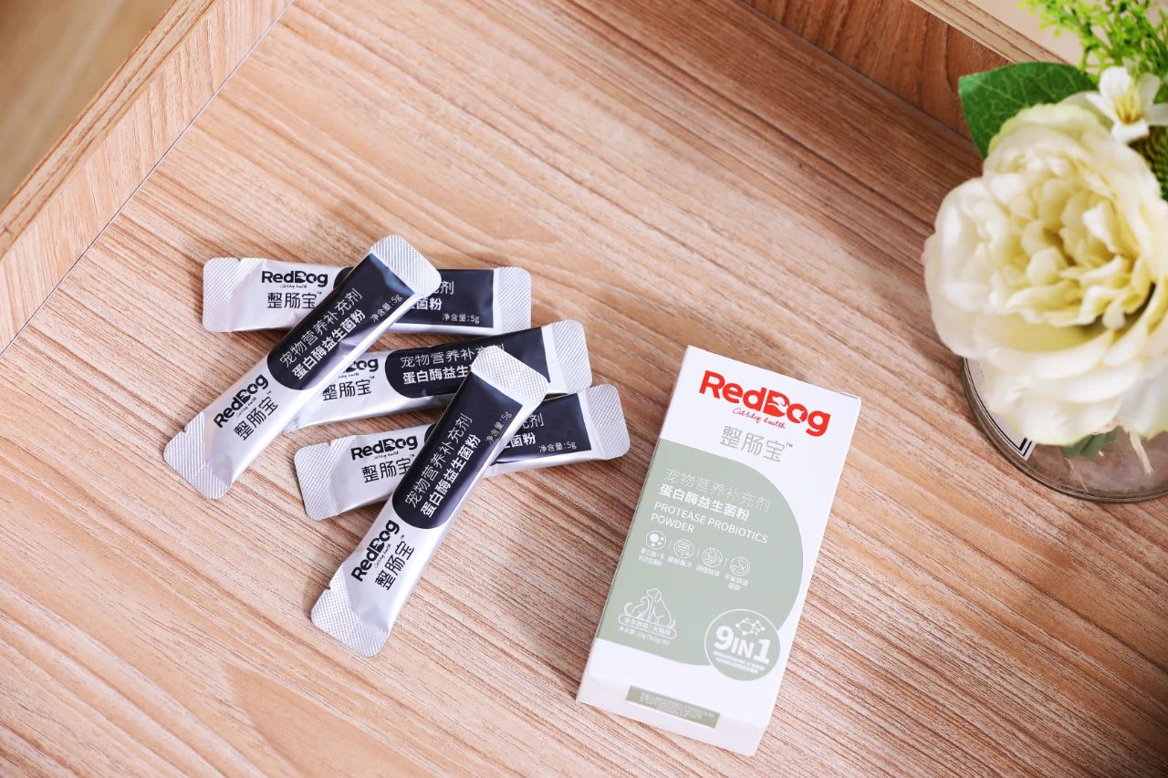 主人拉肚子了小猫咪会怎么办,猫主子拉稀