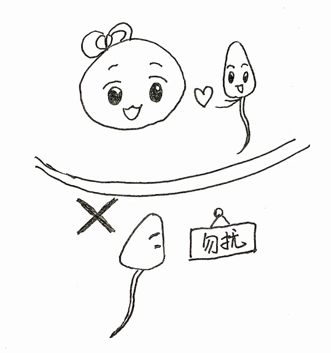 生不出儿子别再怪老婆了,生不出男孩怪儿媳