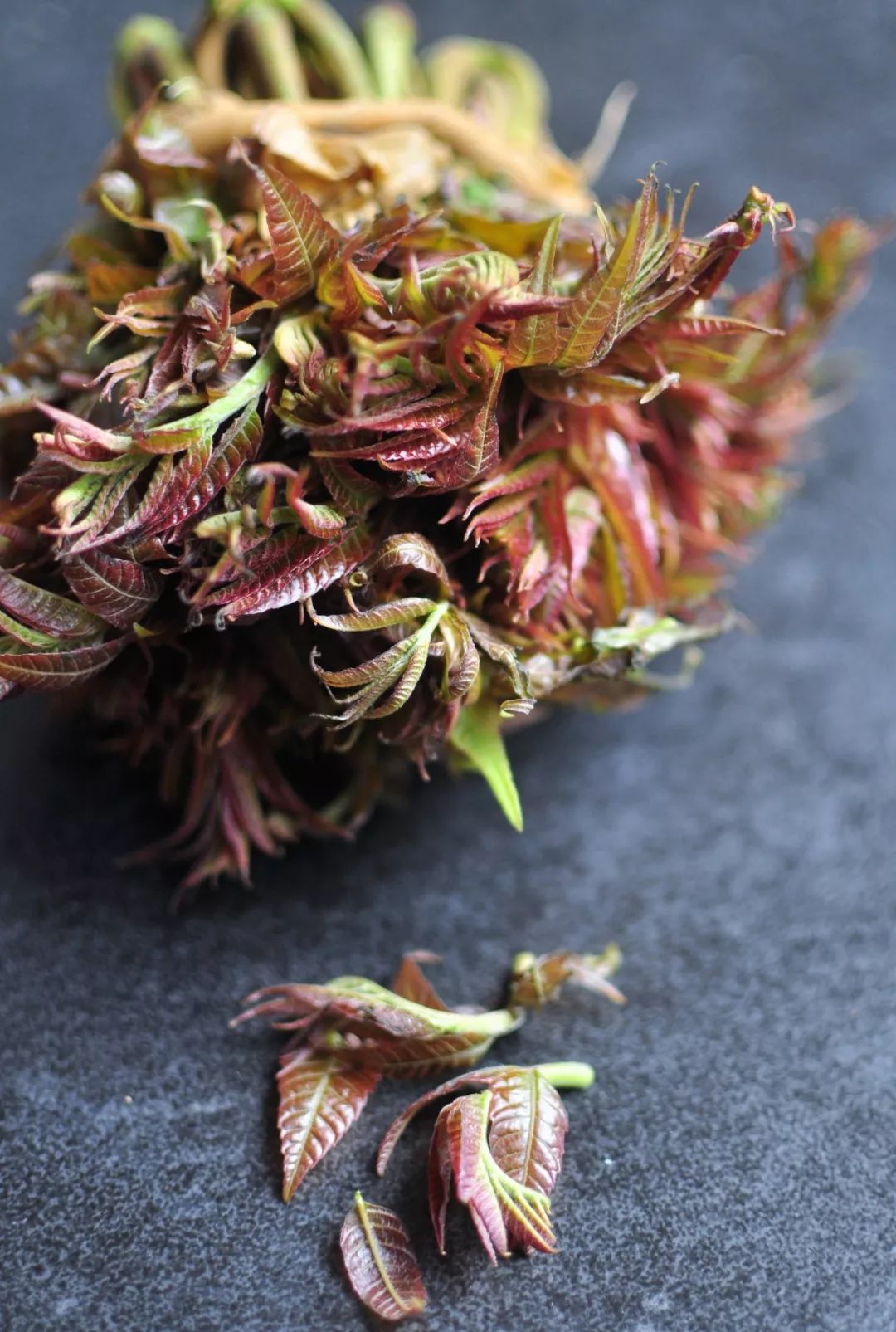 香椿吃起来有清凉的味道,香椿自由