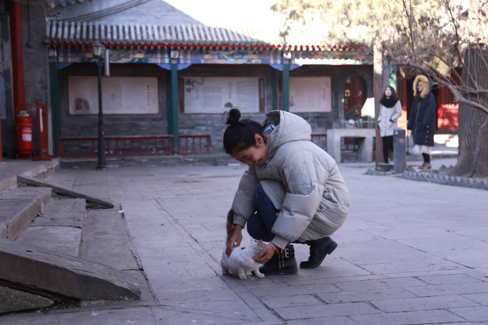 因疫情离开北京的年轻人：复工无期、失业在家、房租待交，每天像机器一样工作，终究败给现实