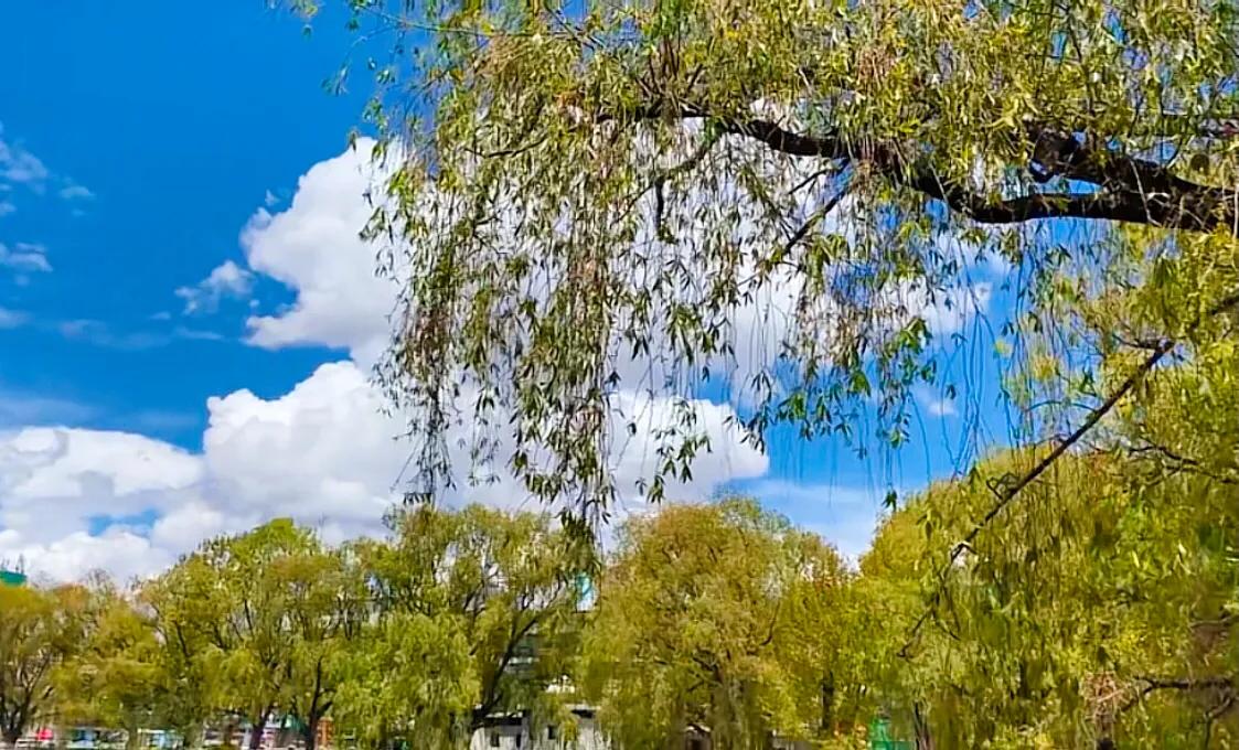 灯火辉煌的布达拉宫,洁白无瑕的布达拉宫