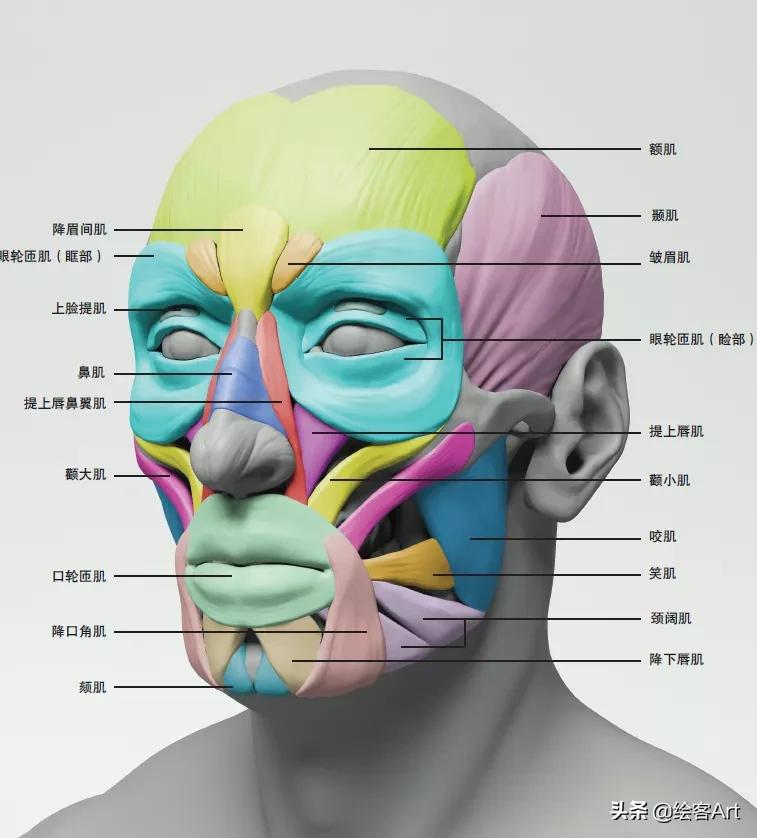 如何把立体图形画逼真,立体脸部画教程简单