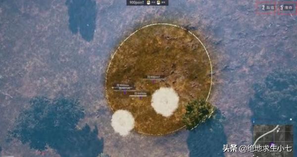 免电网伤害外挂,站着不动也能吃鸡!蓝洞需要有所作为