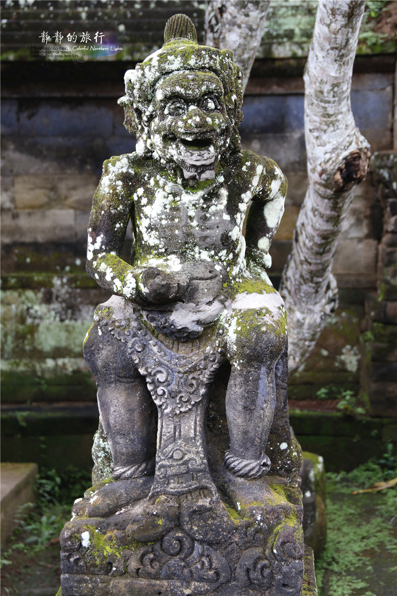 在印尼见识传说中最昂贵的猫屎咖啡