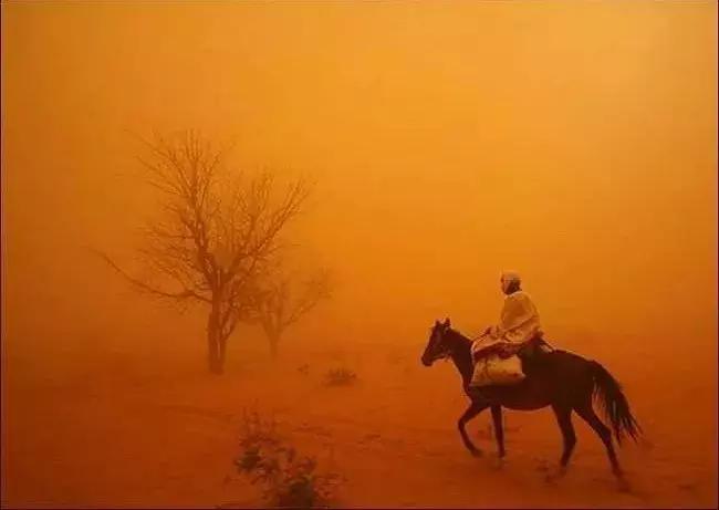 贴吧草莽往事：李毅吧被赞为卢浮宫，没有大V和粉丝，众生平等